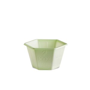 COPPA SPAVALDA 300 cc COMPOSTABILE VERDE